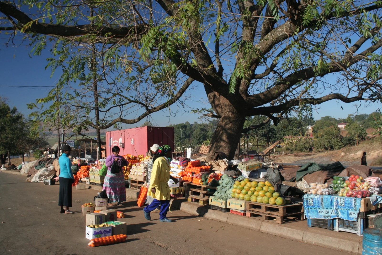 African roadside food and fruit market