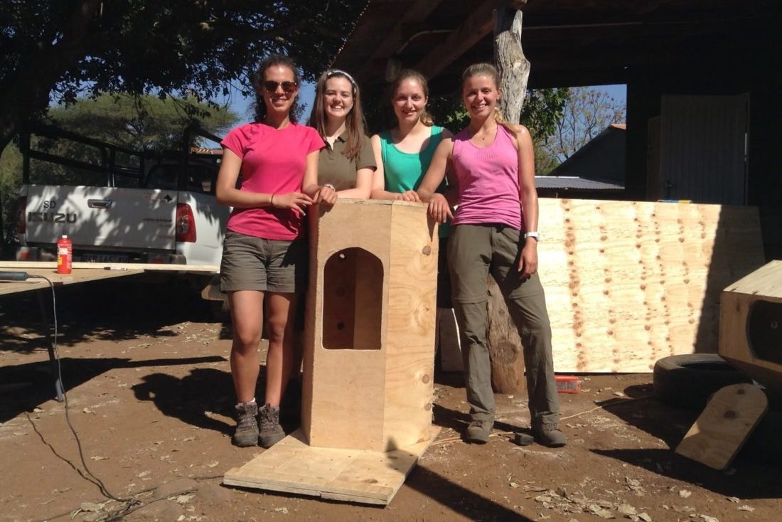 building hornbill nesting boxes