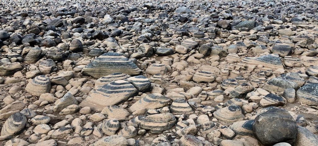 zebra pool rocks - Hiking the Fish River Canyon