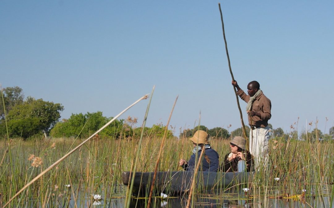 How to see the Okavango