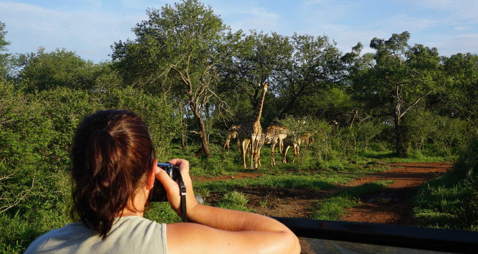 Photographing wildlife