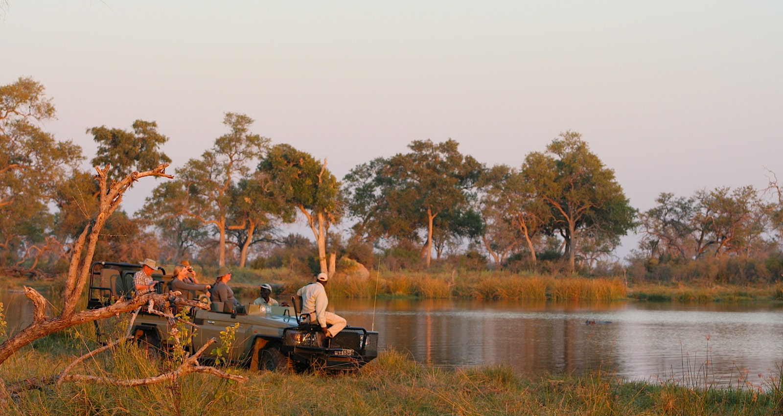 on safari in Botswana, Africa