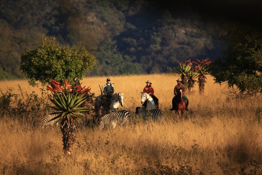 Special Interest Holiday on Land