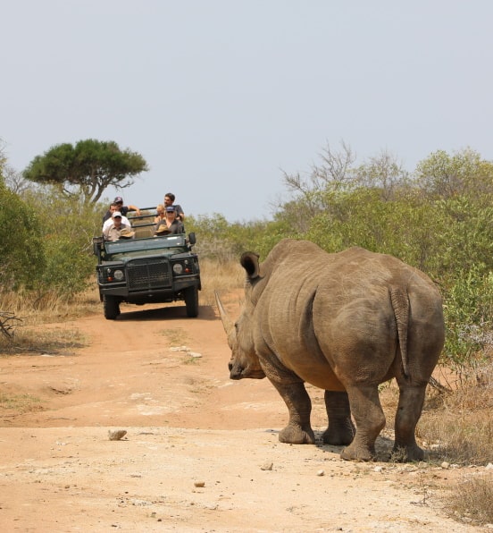 Rhino jeep safari Mkhaya Eswatini