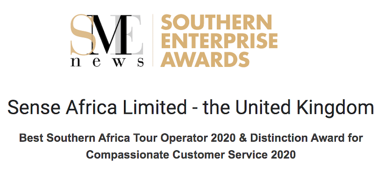 sense earth southern enterprise award 2020