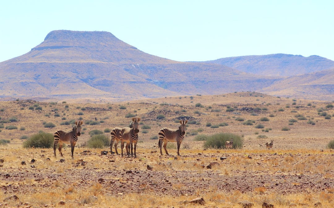 10 Things About Namibia’s Sustainable Tourism Efforts