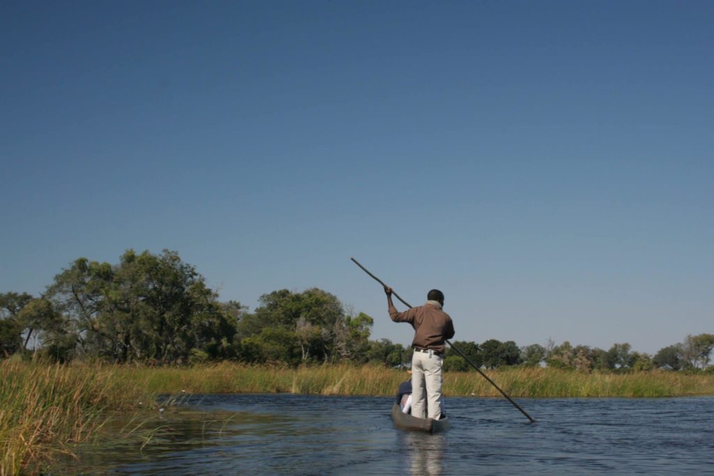 A man standing on a mokoro canoe traverses the delta