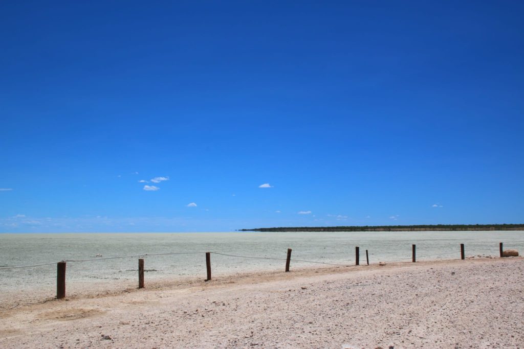 The road on the Etosha salt pan