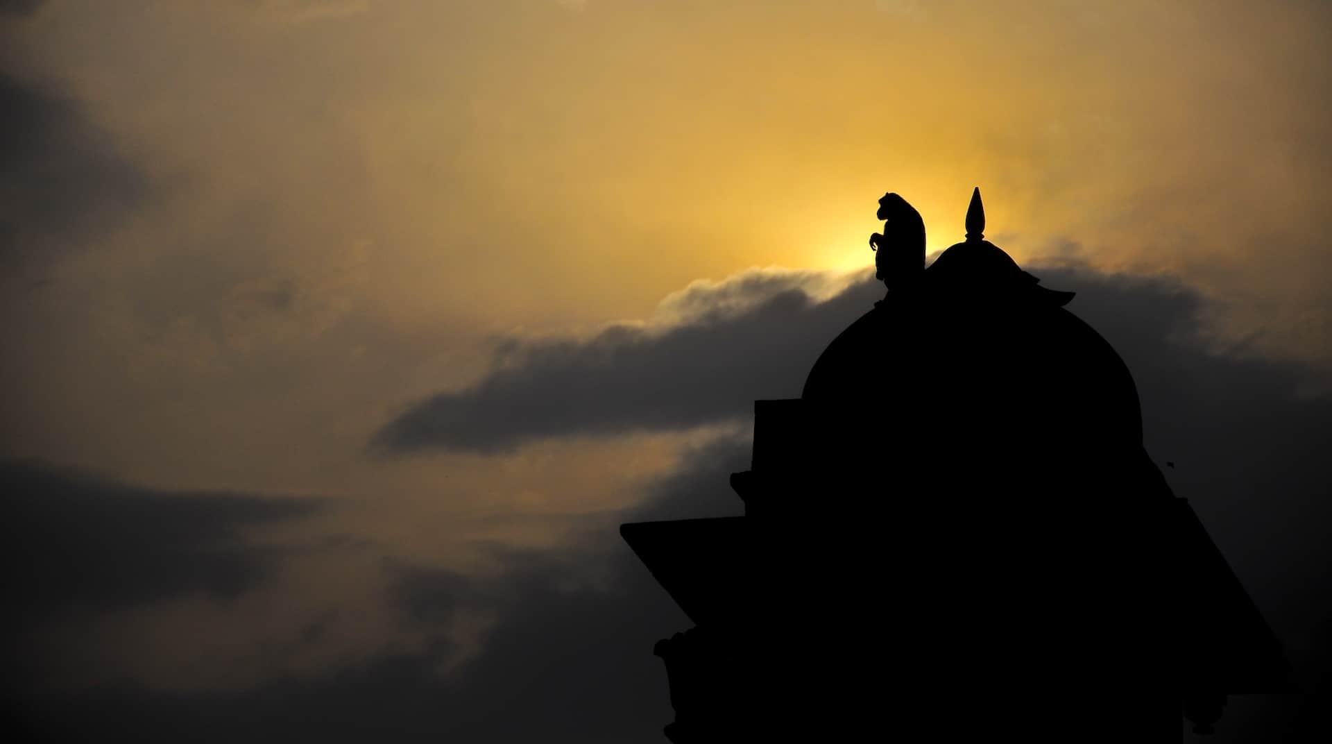 Monkey on a temple