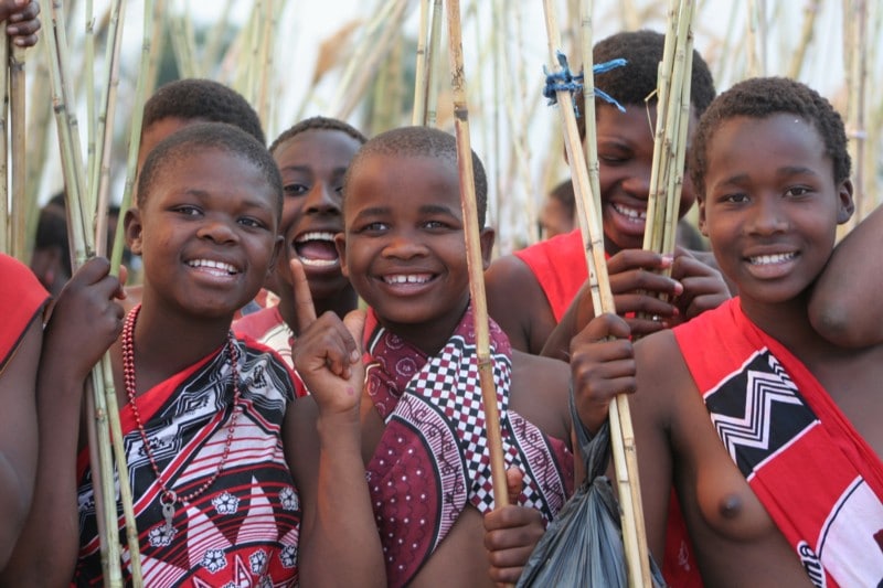 Swazi women hold reeds ahead of the Umhlanga Reed Dance