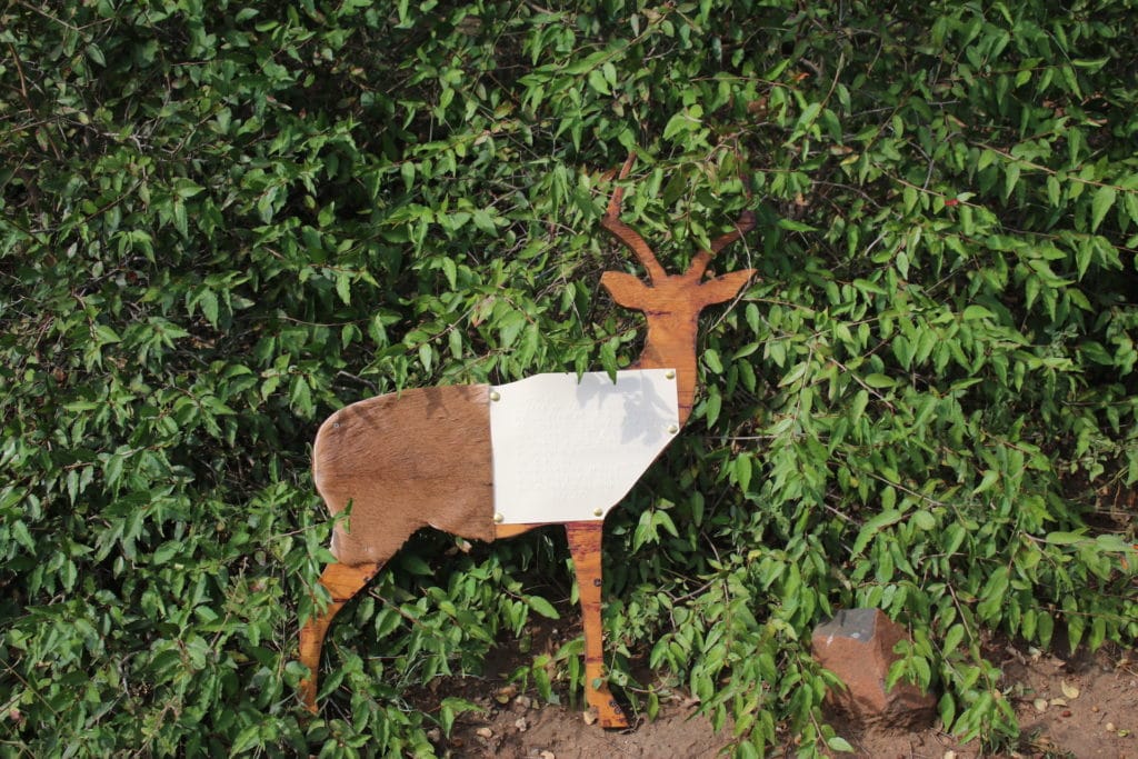 Interactive cutout of a nyala - Safari for the blind