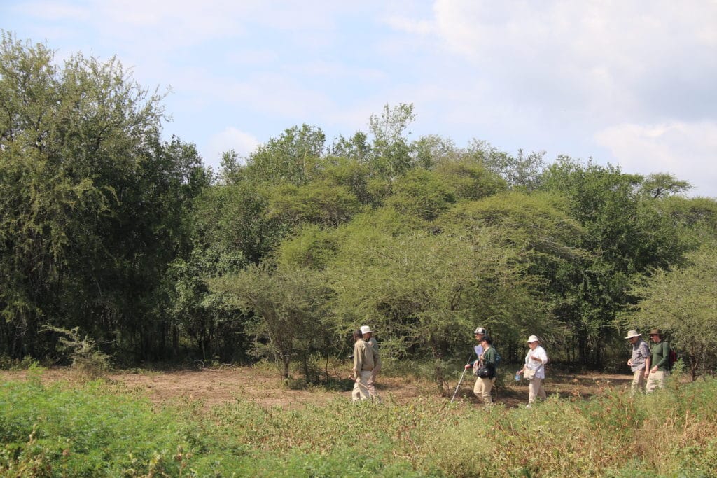 walking with visually impaired people