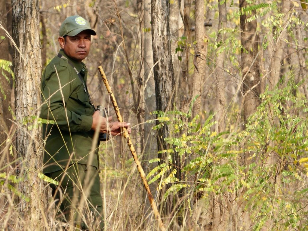 A forest guide in India