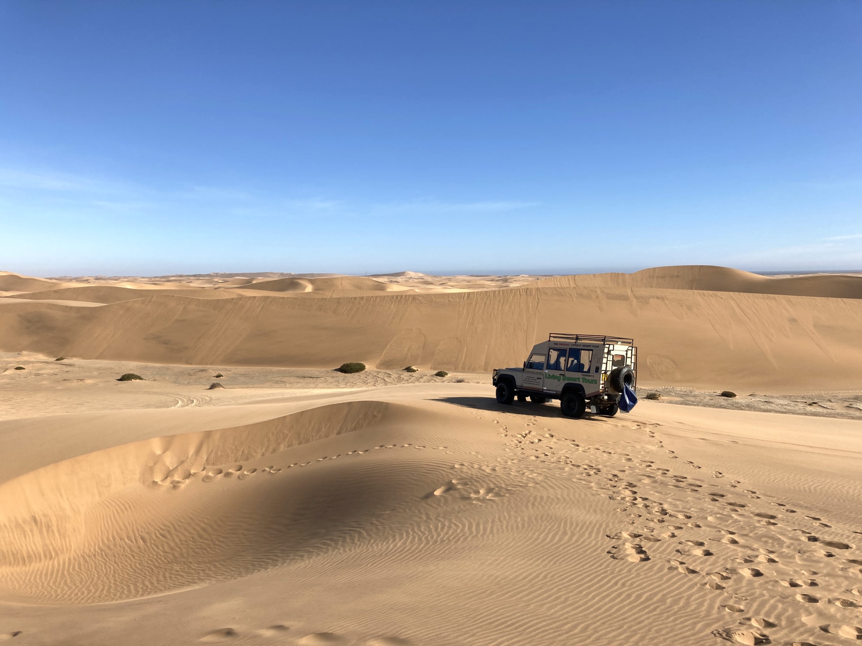 dune scenery in Namibia