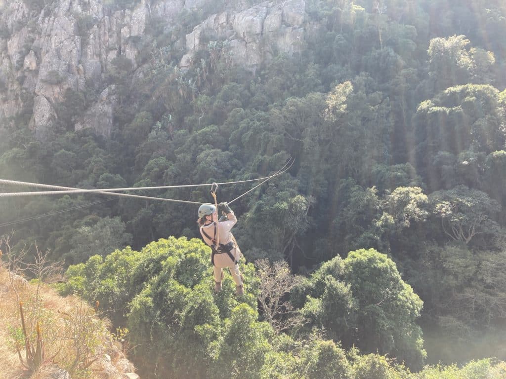 treetop adventure zip line