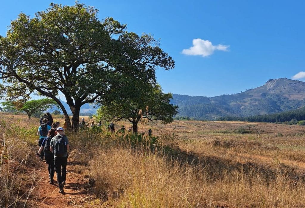 walking in eswatini