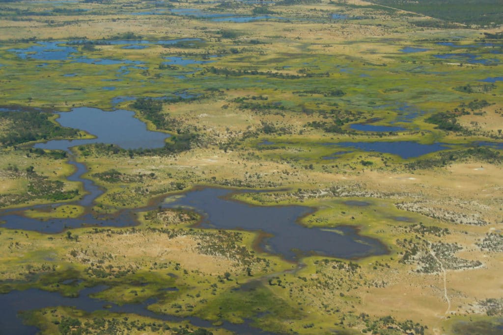 Fly over the Okavango