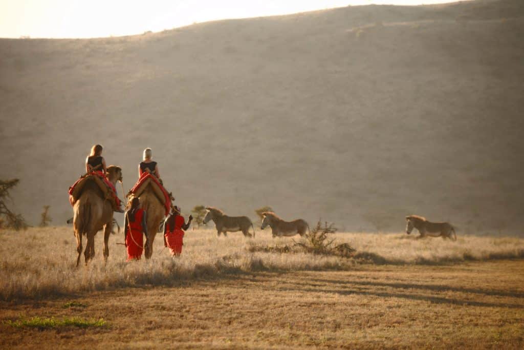 camel trails - Kenya wildlife conservancy