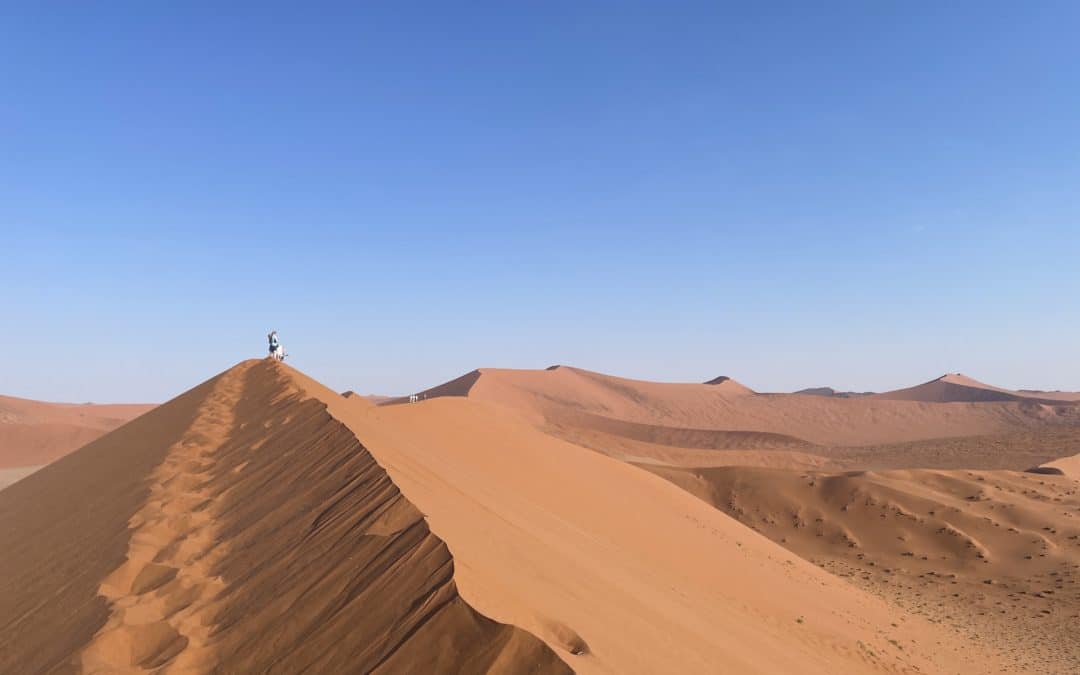On Safari in Africa with Sense Earth