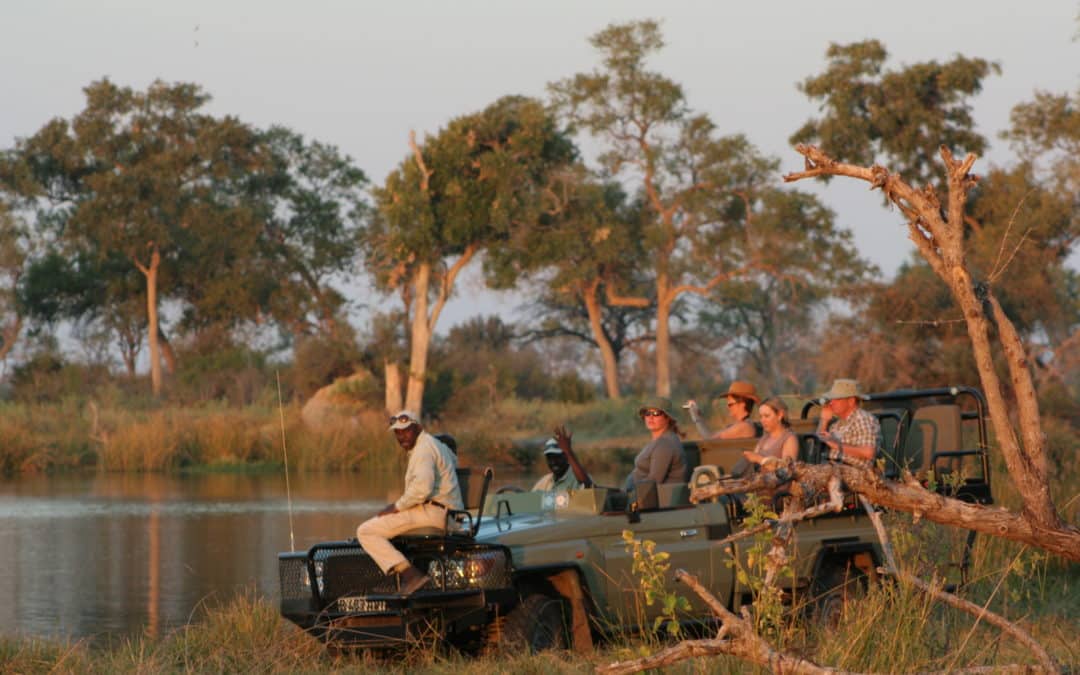 The Evolution of Safari Tours: From Past to Present