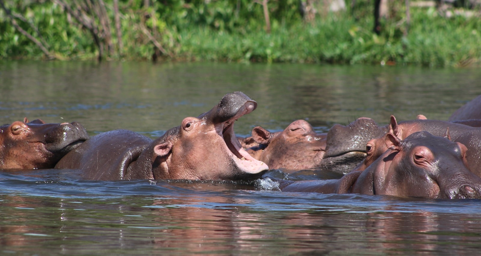 dunes - Visit Africa